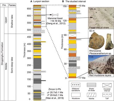 Mid-Miocene Lake Level Fluctuations in the Lunpola Basin, Central Tibetan Plateau